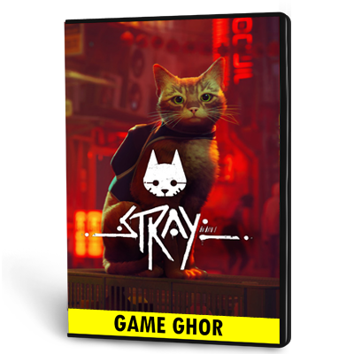 Stray | Steam Account